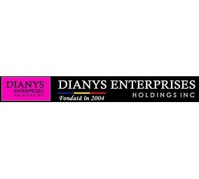 Sevicii web Dianys Enterprises Holdings orasul Iasi