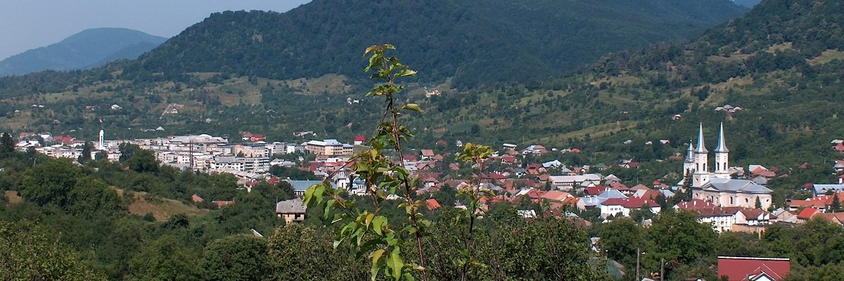 Firme orasul Baia Sprie Lista firme orasul Baia Sprie