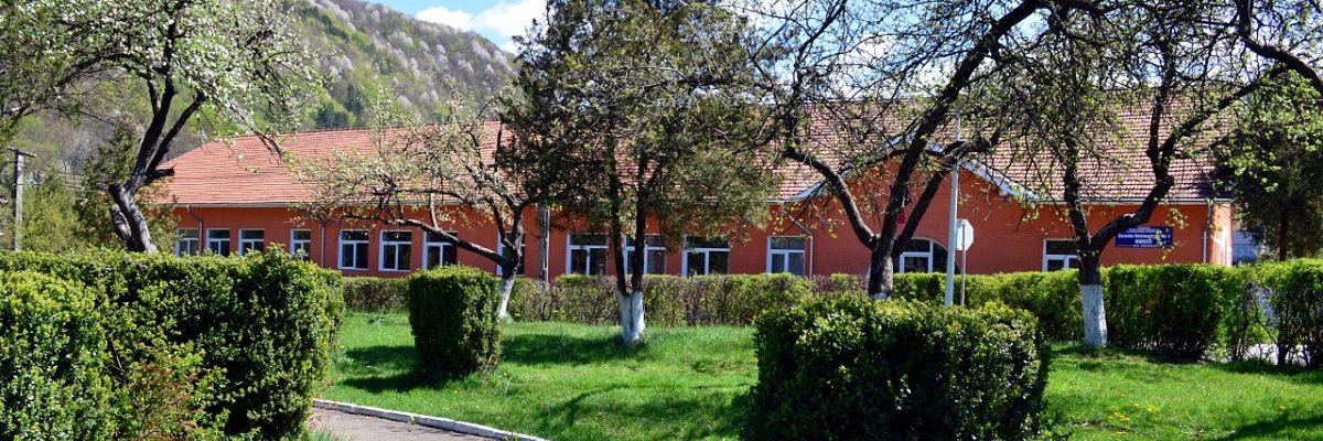 Firme orasul Nucet Lista firme orasul Nucet