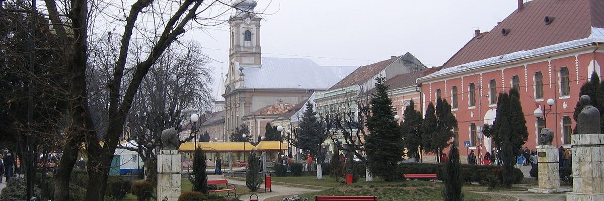 Lista firme orasul Sighetu Marmatiei