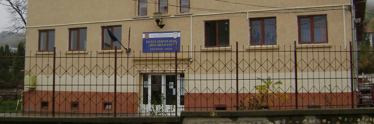 Firme orasul Stefanesti Lista firme orasul Stefanesti