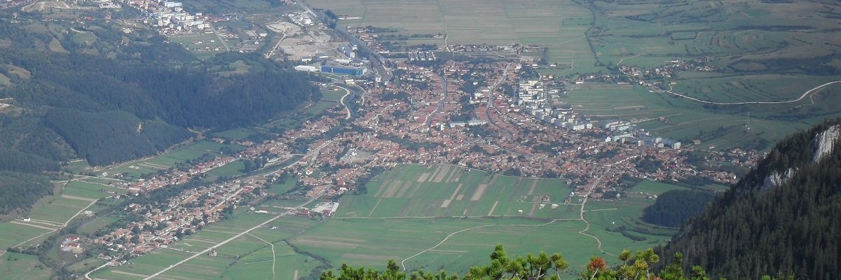 Firme orasul Zarnesti Lista firme orasul Zarnesti