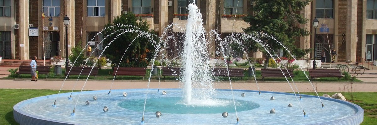 Lista firme orasul Zimnicea