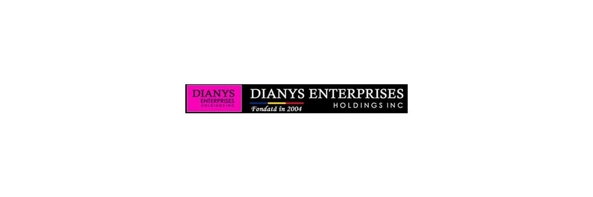 Dianys Enterprises Holdings Iasi - creare si optimizare website Firma de publicitate si promovare Linked Media orasul Bucuresti